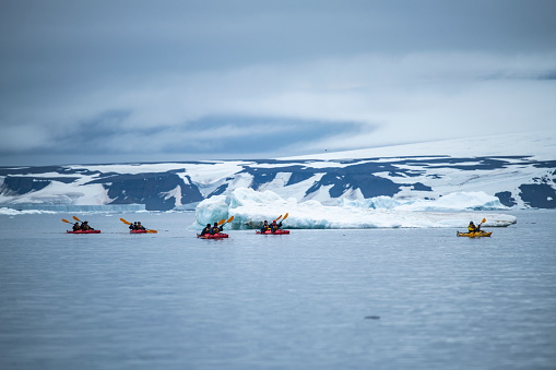 Several kayakers from expedition cruise ship MV Sea Spirit (Poseidon Expeditions) paddle past a low iceberg with mountains partly covered by snow in the distance, Geographer Bay, Franz Josef Land, Russian High Arctic, Russia, Europe