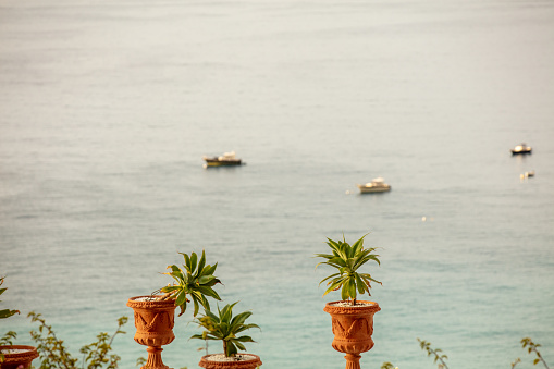 View Of Sea Behind Plant At Amalfi,Italy