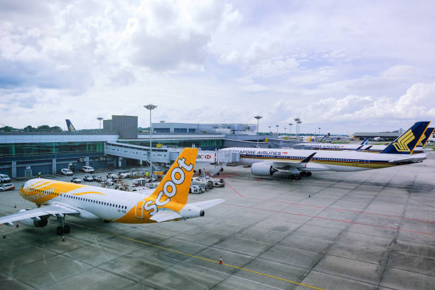 scoot, singapore airlines flugzeuge geparkt am changi airport während covid-19 coronavirus; geerdet; covid-19 coronavirus - scoot stock-fotos und bilder