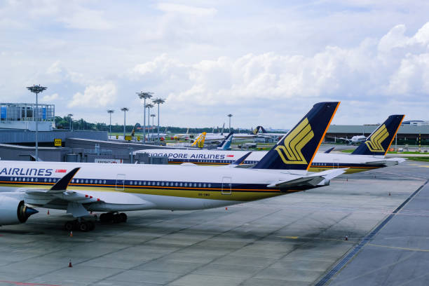 singapore airlines flugzeuge auf changi airport während covid-19 coronavirus geparkt; geerdet; covid-19 coronavirus - scoot stock-fotos und bilder