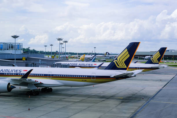 싱가포르항공 은 covid-19 코로나바이러스 동안 창이 공항에 주차; 접지; 코비드-19 코로나바이러스 - scoot 뉴스 사진 이미지