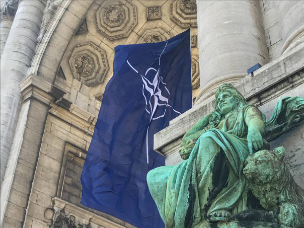 nato-flagge zwischen den arkaden des cinquantenaire - european community government flag sign stock-fotos und bilder