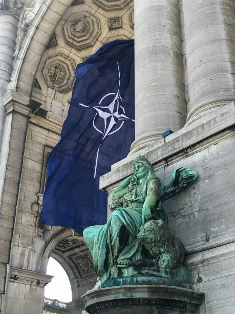 NATO flag between the arcades of the Cinquantenaire BRUSSELS, BELGIUM - JUNE 14, 2021: NATO flag fluttering in the wind in the arcades of the Cinquantenaire in Brussels nato stock pictures, royalty-free photos & images