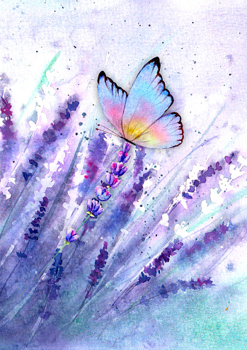 Meadow lavender horizontal background with colorful butterfly. Watercolor hand drawn purple botanical illustration. Watercolour floral herbal backdrop. Space for text.