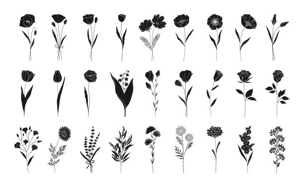 Floral set, hand drawn flowers silhouettes, vector. Floral set, hand drawn flowers silhouettes. Poppy, rose, lily of the valley, lavender, chamomile and other botanical elements for design projects. Vector illustration. anniversary silhouettes stock illustrations