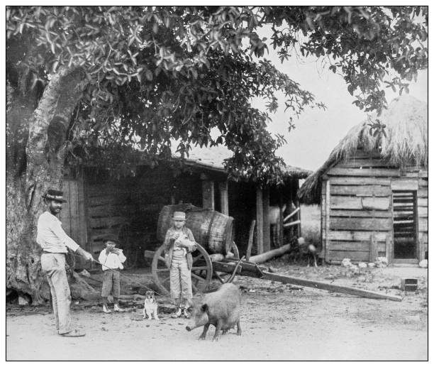 Antique black and white photograph: rural home in western Cuba Antique black and white photograph of people from islands in the Caribbean and in the Pacific Ocean; Cuba, Hawaii, Philippines and others: rural home in western Cuba cuban ethnicity photos stock illustrations