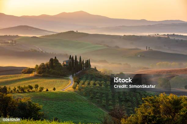 Landscape Of A Foggy Sunrise Stock Photo - Download Image Now - Tuscany, Vineyard, Rolling Landscape