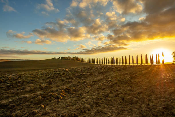 Beautiful golden sunrise in Tuscany
