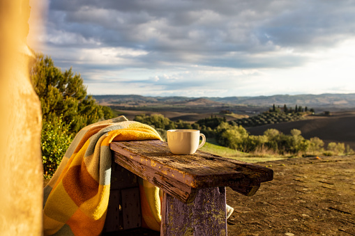 Close-up Of A Cup On Wooden Bench,Italy,Tuscany