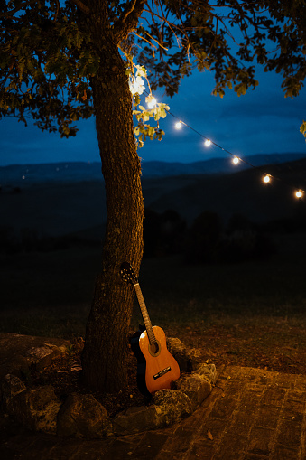 Photo of a guitar kept under a tree