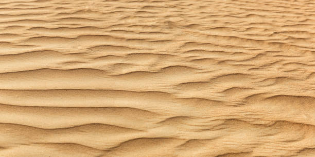istock Dubai desert sand panorama in United Arab Emirates 1326116783