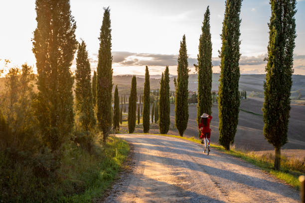 mujer montando una bicicleta durante la puesta de sol en la toscana - italian cypress tree cypress tree sunlight fotografías e imágenes de stock