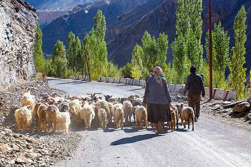 Ladakh, India - Oct 2019: Local people were on their way back home