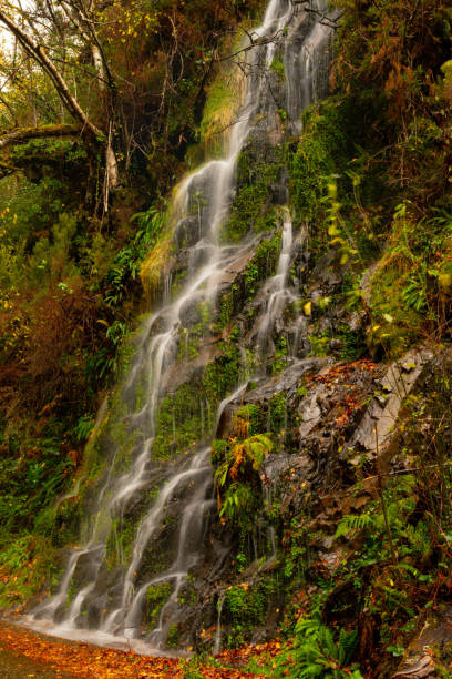 istock Typical landscape of Asturias 1326118435