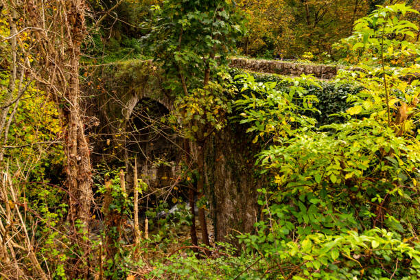 istock Typical landscape of Asturias 1326118439