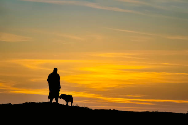 日没時に丘の上に男と彼の犬の黒と白のシルエット - テキストコピーのための部屋 - walking night men sunset ストックフォトと画像