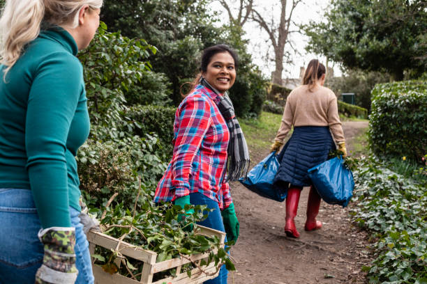 Making Improvements to the Community Garden