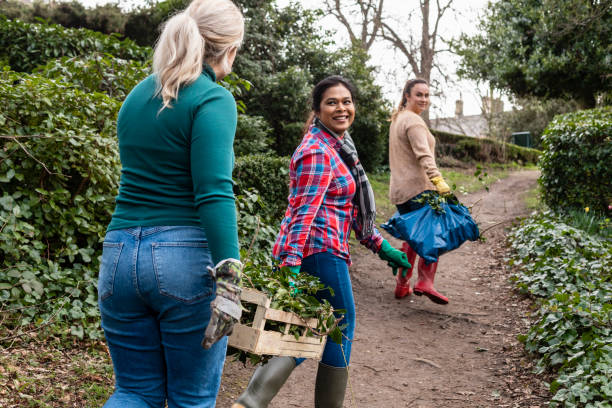 Happy With Their Gardening Progress A diverse women's environmental group carrying refuge bags and wooden crates filled with garden debris along a country dirt footpath. The two women at the front are looking over their shoulder at the other woman, pleased with their progress. community vegetable garden stock pictures, royalty-free photos & images