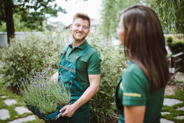 istock Working together in garden. 1326126165