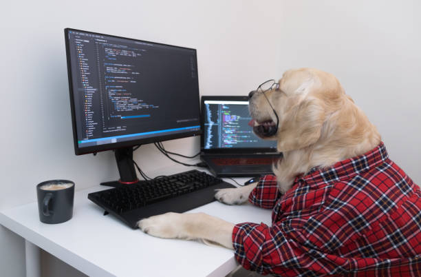 istock A dog in glasses and a red shirt sits at a computer and writes a program. Golden Retriever dressed as a programmer or teacher. Remote work concept during a pandemic 1326132004