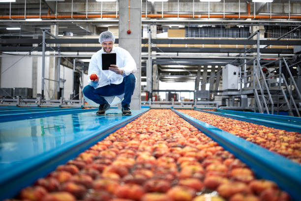 istock Technologist standing in food processing factory and checking quality of apple fruit. 1326132028