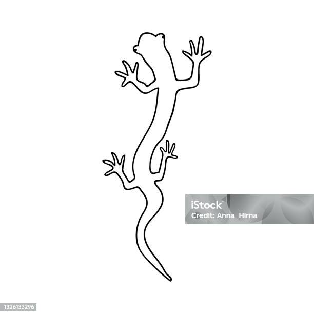 Hand Lizard Vector Single Hand Drawn Lizard Vector Illustration In Doodle Style Isolate On ...