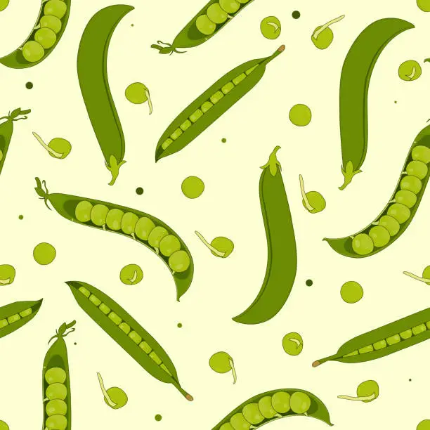 Vector illustration of Pea and Pod Set background. Vector seamless pattern. Pea pattern