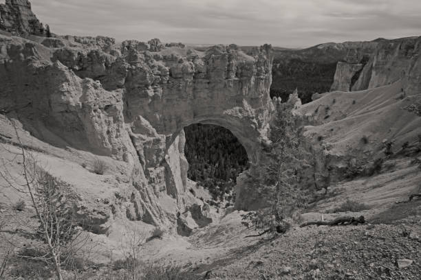 Monochrome view over Bryce Canyon from The Natural Bridge