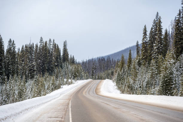 istock Rocky Mountains in Kootenay Park 1326136823