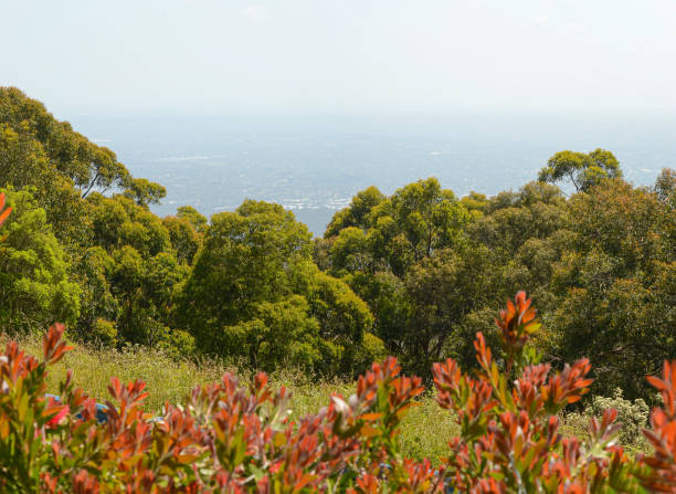 istock View from a high place to the surrounding area. 1326137107