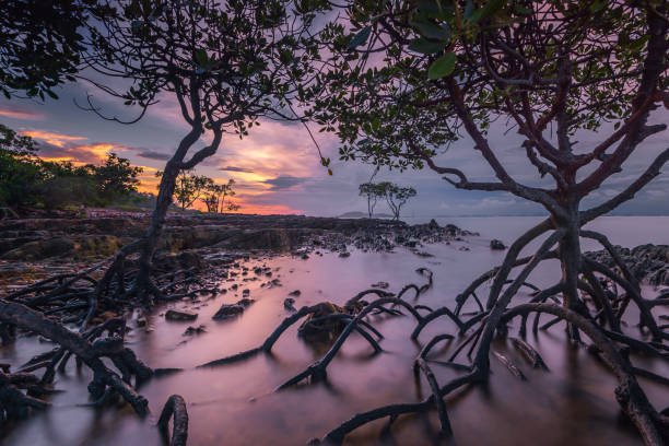 istock Wonderful Sunset at Batam Island Indonesia 1326137218