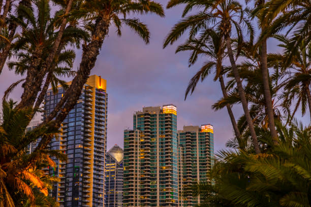istock San Diego California 1326137248