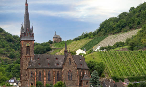 Mosel valley, Germany.