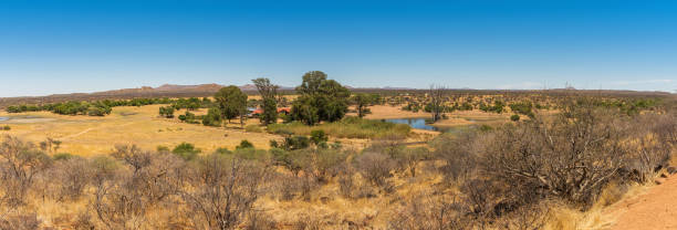 オビタ野生生物レストキャンプ、オカハンジャ、ナミビアの敷地内の風景 - landscape panoramic kalahari desert namibia ストックフォトと画像