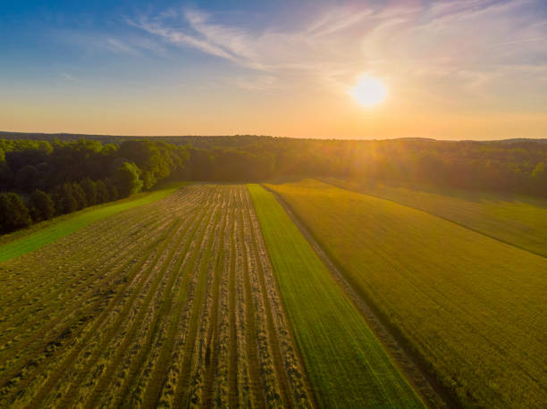 istock Sunset over a Field of Crops 1326138447