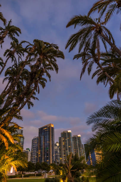 istock San Diego California 1326138995