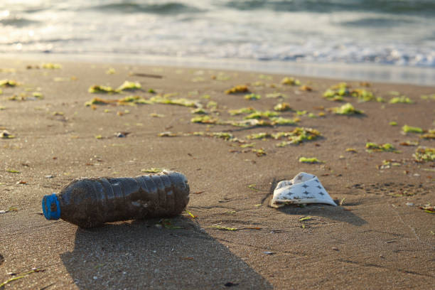 istock Environmental Pollution And Plastic Waste On The Beach, Sea Saliva And Mucilage 1326140330