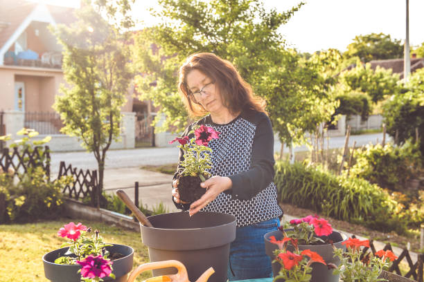 istock Woman planting flower in backyard 1326144183
