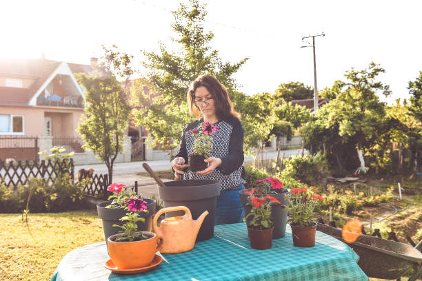 istock Woman planting flower in backyard 1326144184