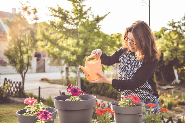 istock Woman planting flower in backyard 1326144198