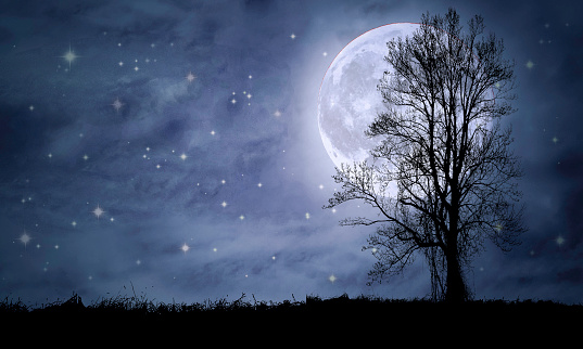 Full Moon, Tree Silhouette, Starry Night, Copy Space. Elements of this image furnished by NASA - URL: https://www.nasa.gov/sites/default/files/thumbnails/image/pia00405orig.jpg
