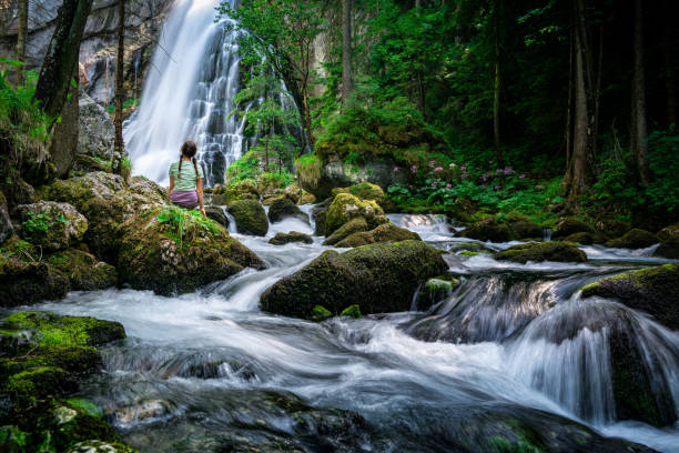 The Gollingfall or Gollinger wasserfall (sometimes named as Schwarzbachfall) is one of the most gorgeous waterfalls in Austria, located at Golling an der Salzach in the region Salzburg. The waterfall is set amidst pine trees and plunges 75 metres in 2 drops.