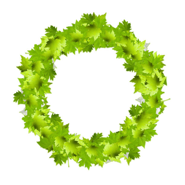 Summer Wreath of Green Maple Leaves isolated on white background - Photograph