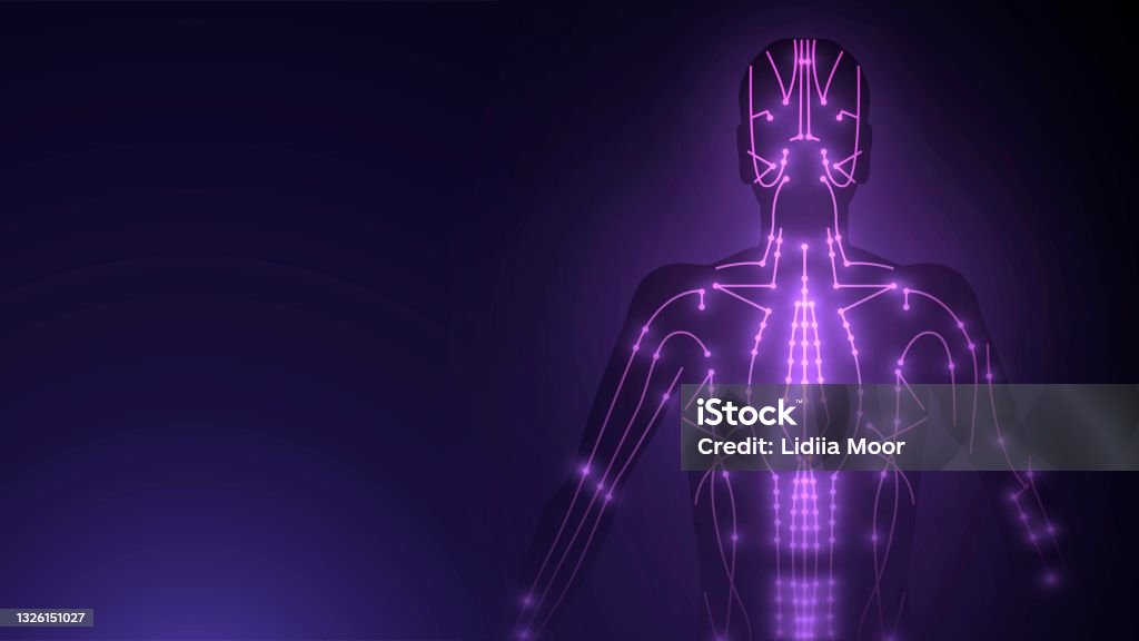 침술 지점 의 다이어그램 침술에 대한 스톡 벡터 아트 및 기타 이미지 - 침술, 인체, 다이어그램 - iStock