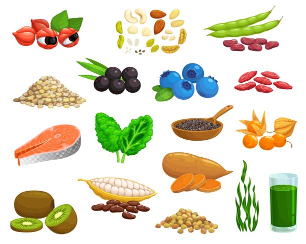 суперпродукты, семена здоровой пищи и фрукты - pine nut illustrations stock illustrations