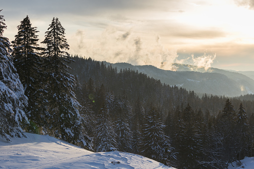 Haut-Jura Regional Natural Park, France