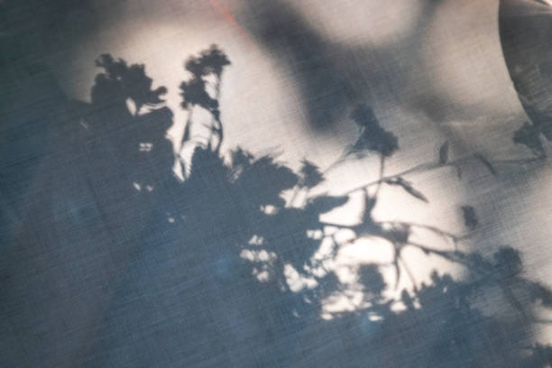 Blue floral shadows on linen fabric texture as a background