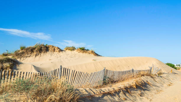 istock Sandy boulders on the ocean coast 1326167341