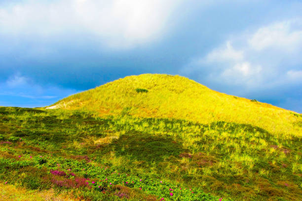 Travel to Sylt Germany