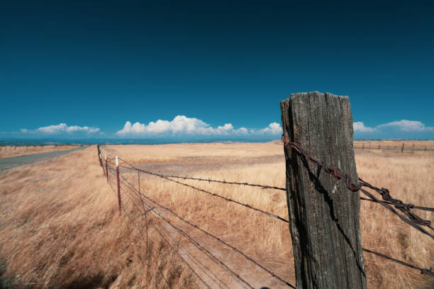 istock Rural California 1326173427